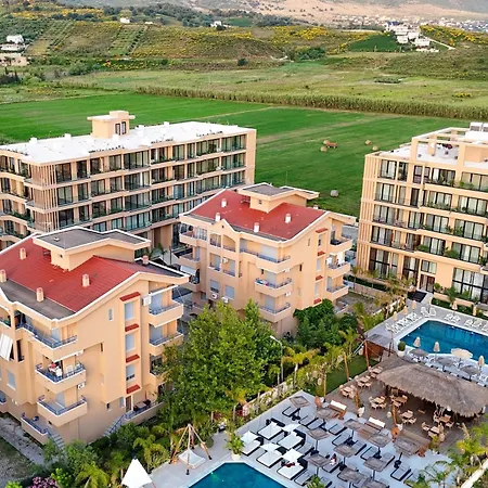 Palm Coastal White - Happy * Vlorë