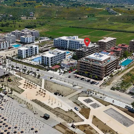 Palm Coastal White - Happy * Vlorë